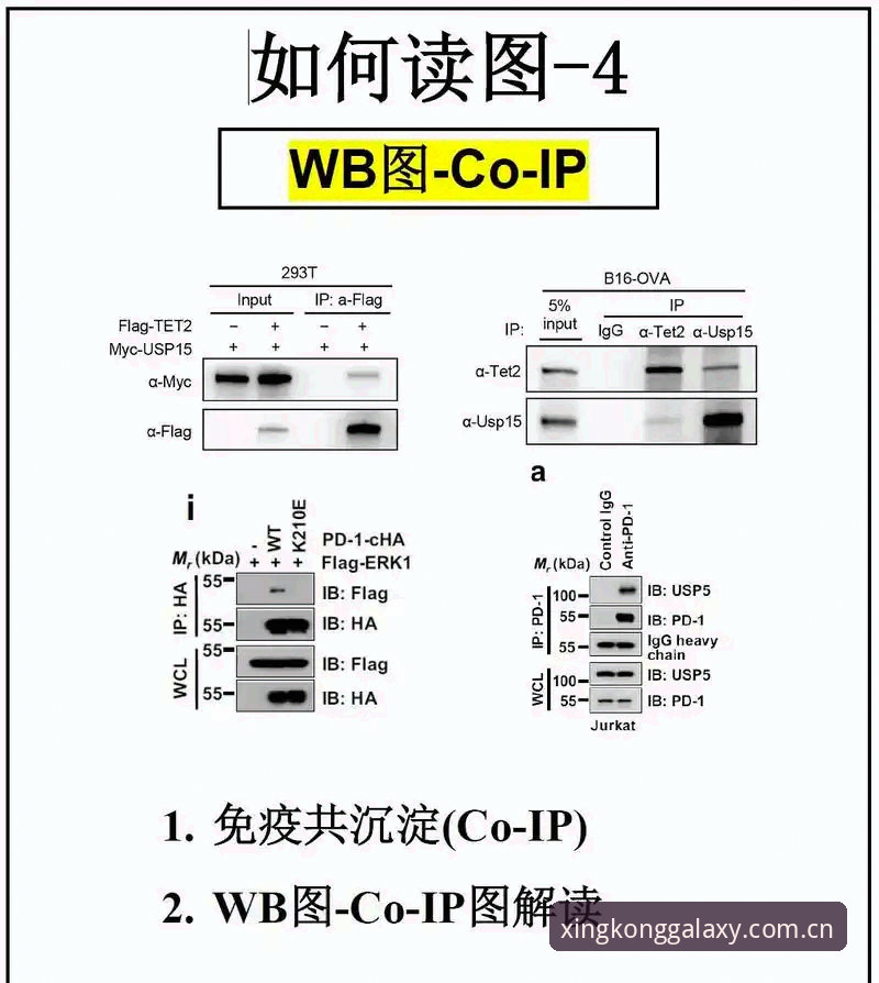 JUNY印记数据实操深度分析：别再盲目跟风，这才是获取官方实时赛况的正确姿势